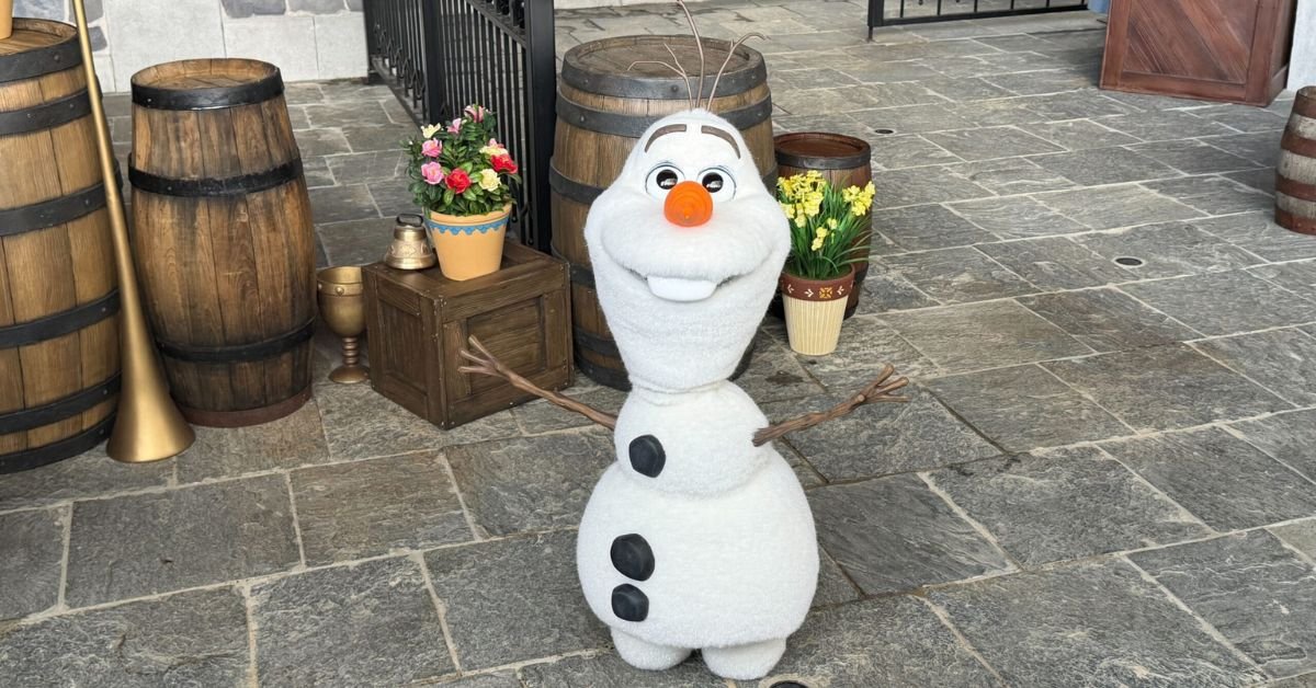 taille olaf
